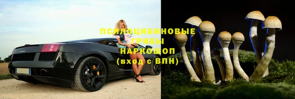 гашик Баксан