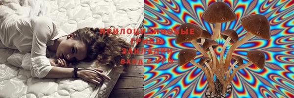 эйфоретик Балахна