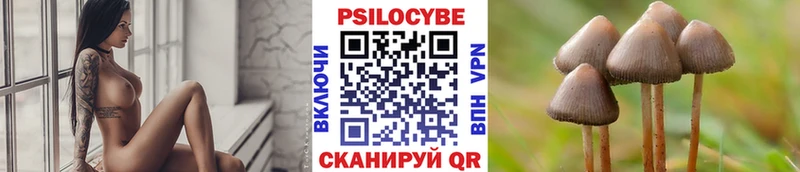 shop какой сайт Унеча Псилоцибиновые грибы мухоморы
