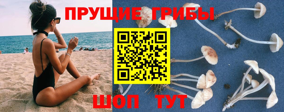 Унеча  Галлюциногенные грибы Magic Shrooms  Вход с VPN 